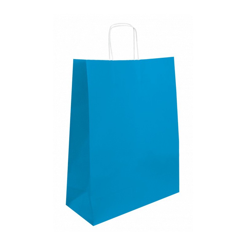 Twisted Wing Paper Bag blue