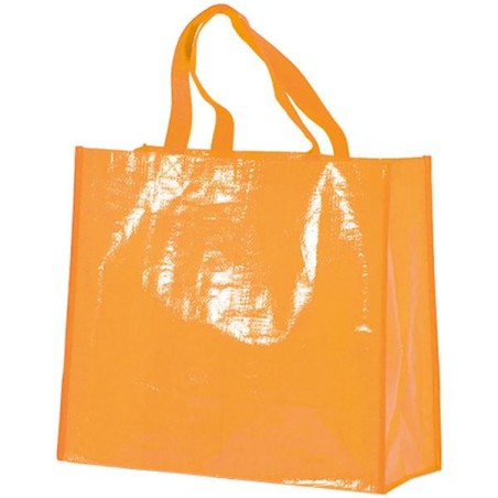 Raffia Bags