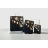 Saco Stars