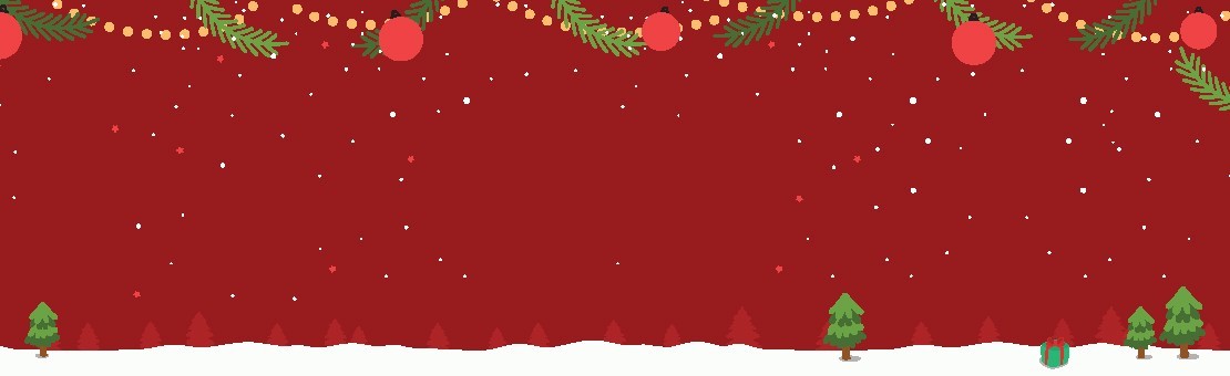 Noël est arrivé chez Flexobag